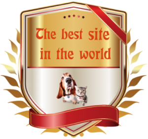a unitedpets.net souvenir 